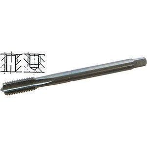 Maschi per uso a macchina ad alta efficienza - 9081t 3/4