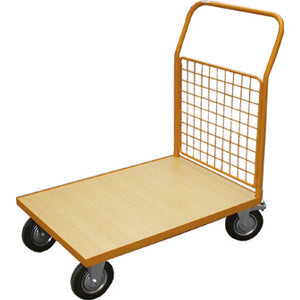 Carrelli trasportatori con maniglia di trasporto - 999p