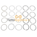 Set Anelli PIS TotalSource per Carrelli Elevatori Jungheinrich | 269/50452586