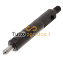 Atomizzatore Delphi per carrelli elevatori Hyster | 001/1323024