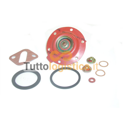 Kit Riparazione Pompa Carburante per Carrelli Elevatori Hyster | 001/148520