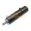 Cilindro di sollevamento TotalSource per carrelli Jungheinrich | 269/50011024