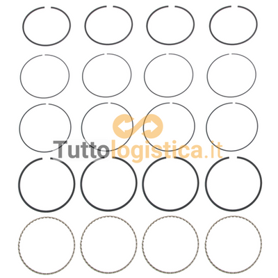 Set Fasce Elastiche Pistone STD per Motori Jungheinrich TotalSource | 269/14704540