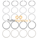 Set Fasce Elastiche Pistone STD per Motori Jungheinrich TotalSource | 269/14704540
