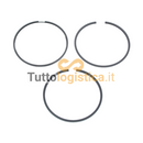 Set Fasce Elastiche Pistone STD per Motori Manitou TotalSource | 261/702004