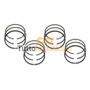 Kit Fasce Elastiche Pistone per Motori Jungheinrich TotalSource | 269/14362700