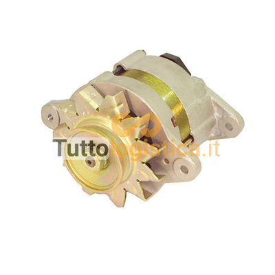 Alternatore TotalSource compatibile con carrelli Jungheinrich | 269/14107720