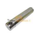 Asta pistone TotalSource per sollevatori Jungheinrich | 269/50427628