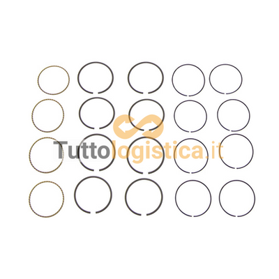 Set Fasce Elastiche Pistone +0.50mm per Jungheinrich TotalSource | 269/14704550