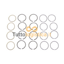 Set Fasce Elastiche Pistone +0.50mm per Jungheinrich TotalSource | 269/14704550