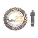 Ingranaggio e Pignone TotalSource per Carrelli Jungheinrich | 269/14497870