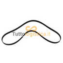 Cinghia Serpentine TotalSource per Caterpillar | 009/3691107
