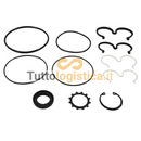 Kit di Riparazione Pompa Idraulica Concentric per Yale | 003/518793602