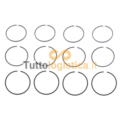 Set fasce elastiche standard TotalSource per motori CLARK | 007/732710300