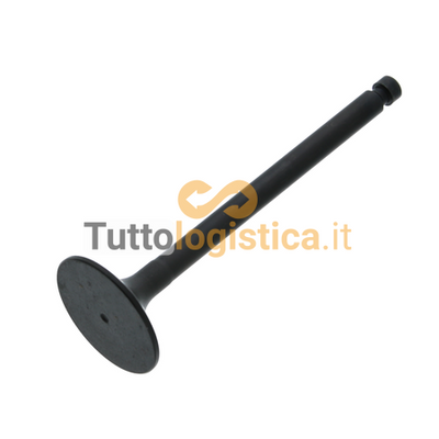 Valvola di aspirazione TotalSource per motori Doosan-Daewoo | 954/A408079