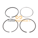Set Fasce Elastiche Pistone per Motori Manitou TotalSource | 261/H3139594R91