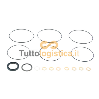 Kit Guarnizioni TotalSource per Motore OMP compatibile Jungheinrich | 269/50463454