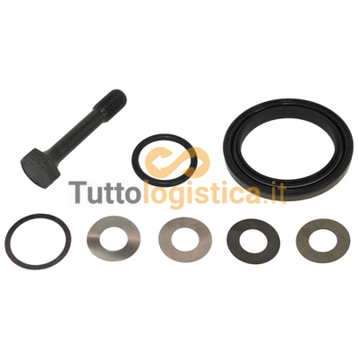 Kit Guarnizioni Mozzo Carraro per BT - Alta Qualità | 268/S991393