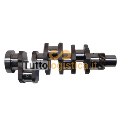 Albero Motore con Cuscinetti Biella per Manitou TotalSource | 261/H3055782R92