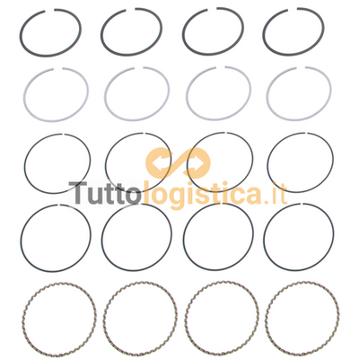 Set fasce elastiche 050 TotalSource per motori Toyota | 058/130137601371