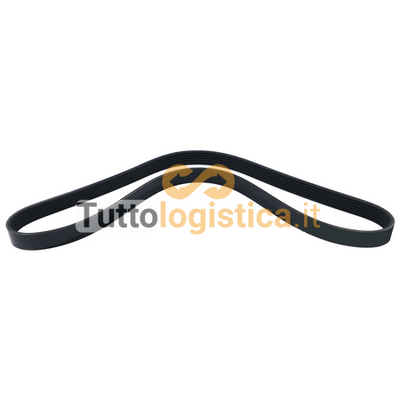 Cinghia Poly-V TotalSource per motori Mitsubishi | 272/217638
