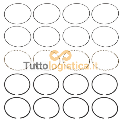 Set Fasce Elastiche Pistone +0.25mm per Motori Jungheinrich | 269/14366410