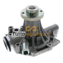 Pompa Acqua DAYCO per Carrelli Elevatori CLARK | 007/1245601