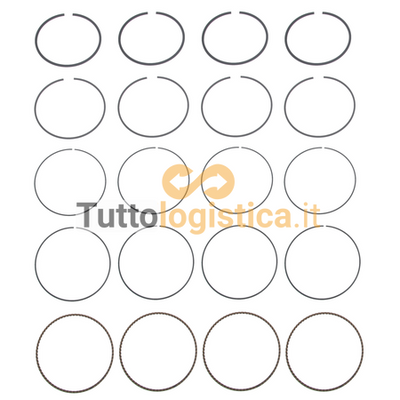 Fasce Elastiche Pistone STD per Motori Jungheinrich TotalSource | 269/51306995