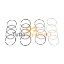 Set fasce elastiche standard TotalSource per motori Doosan-Daewoo | 954/A218151
